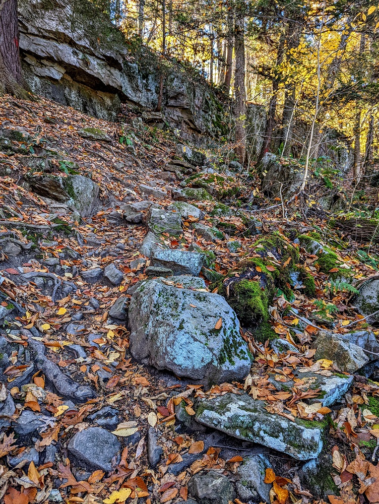 Continue along the trail uphill