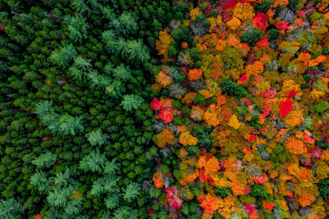 fall color New England