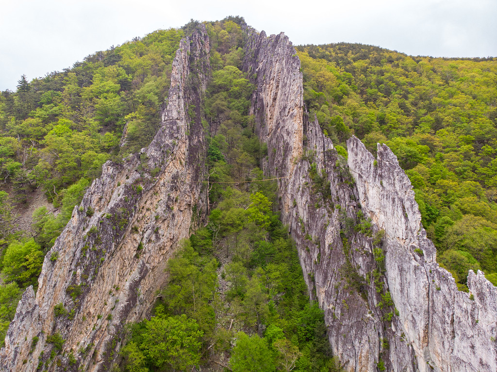 Rock fins at Nelson Rocks