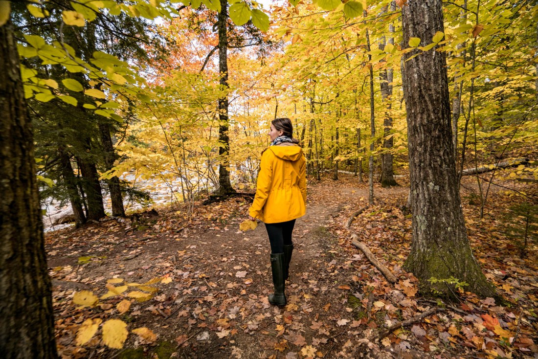 White Mountains in Fall