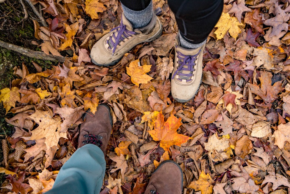 Fall in the White Mountains