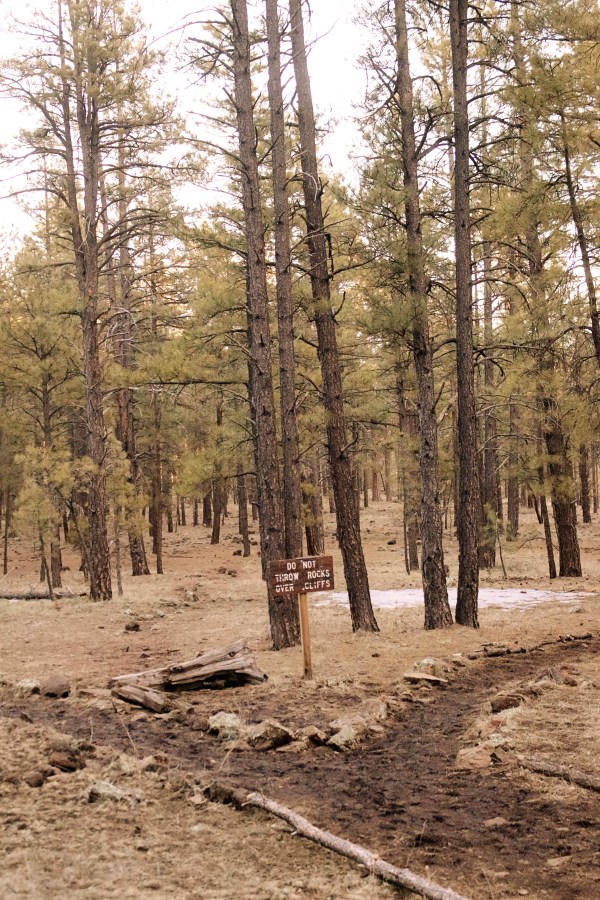 Sycamore Falls: Northern Arizona's Best Kept Secret #simplywander #sycamorefalls #paradiseforks