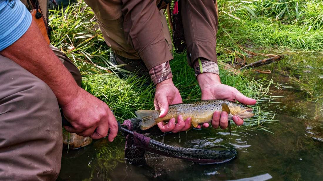 fly fishing black hills national forest south dakota