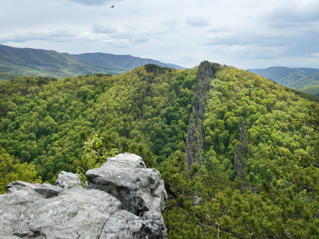 Nelson Rocks in West Virginia