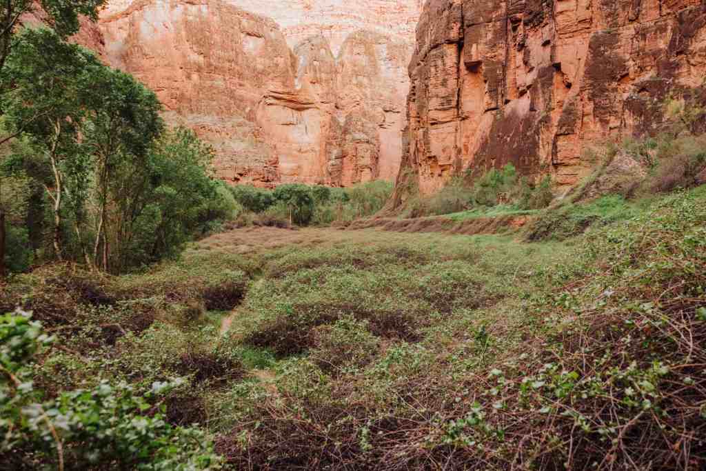 hike to beaver falls along Havasu Creek