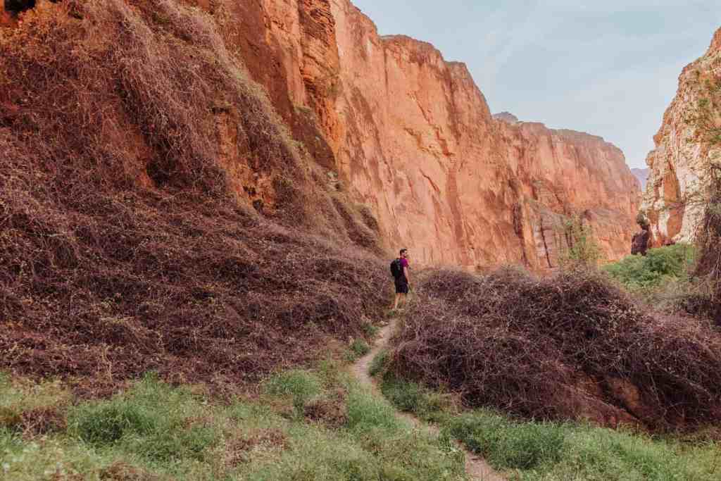 jared dillingham hiking at havasupai falls