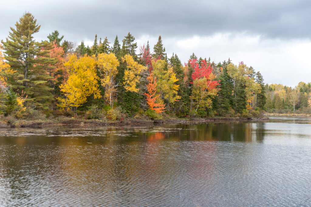 Fall foliage along the Androscoggin River.