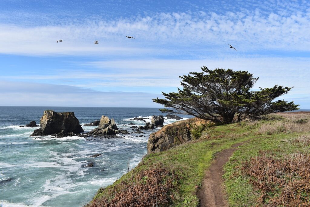 Fort Bragg, California