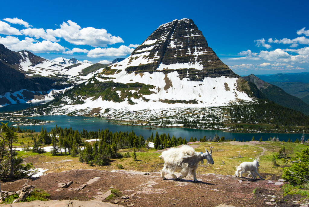 Glacier National Park