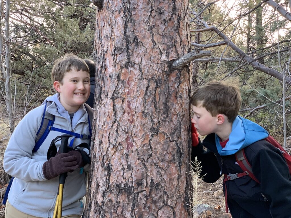 Missy's children inspecting a tree on the trail.