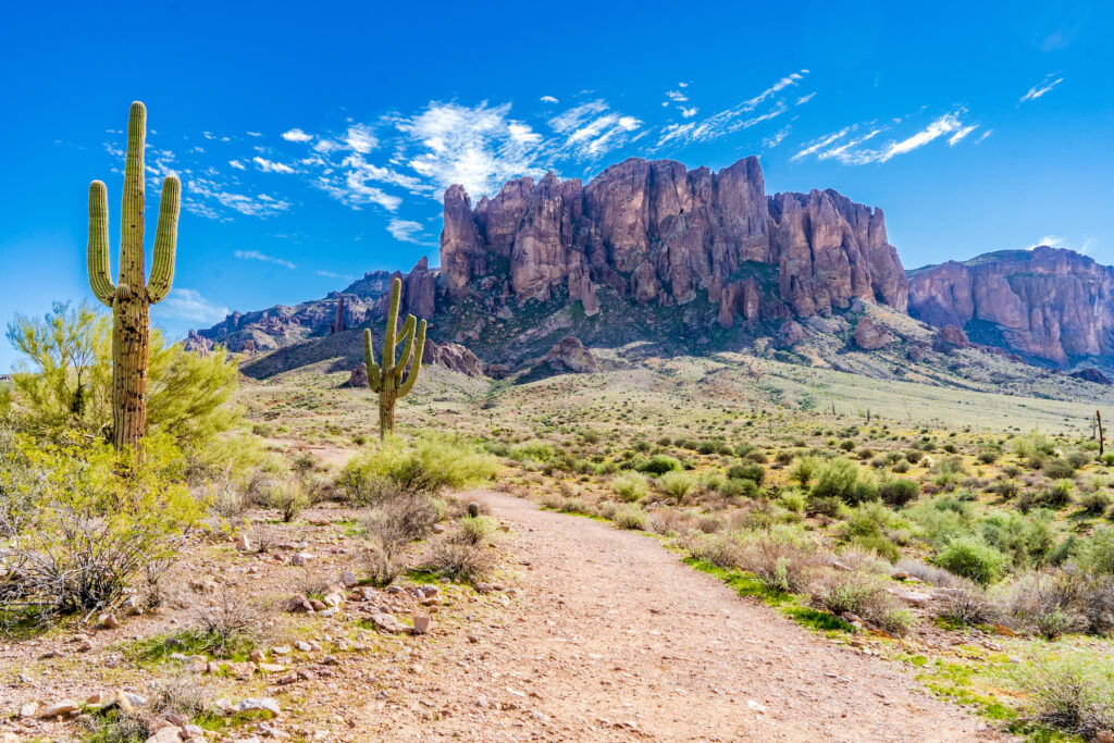 Lost Dutchman State Park at the foot of Superstition Mountain.