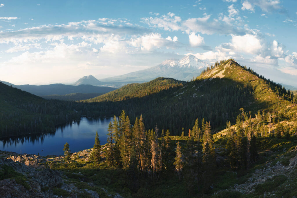 Mount Shasta