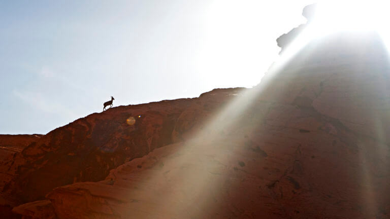 valley of fire and mojave desert