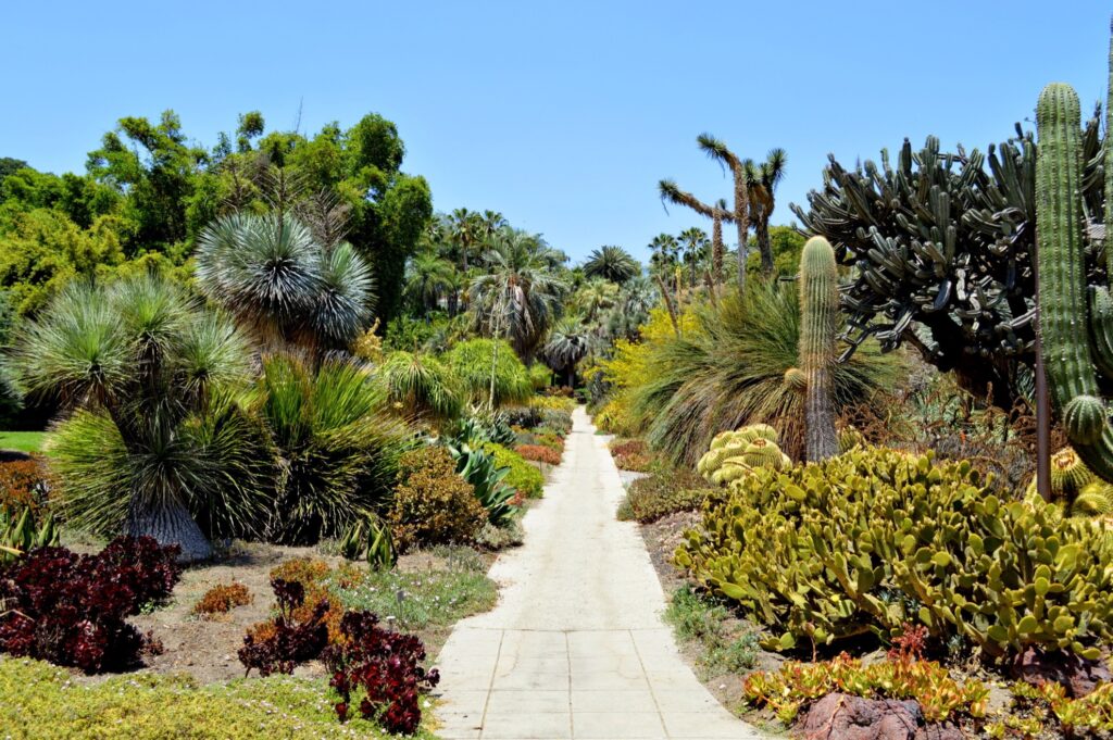 The Huntington gardens in San Marino, California