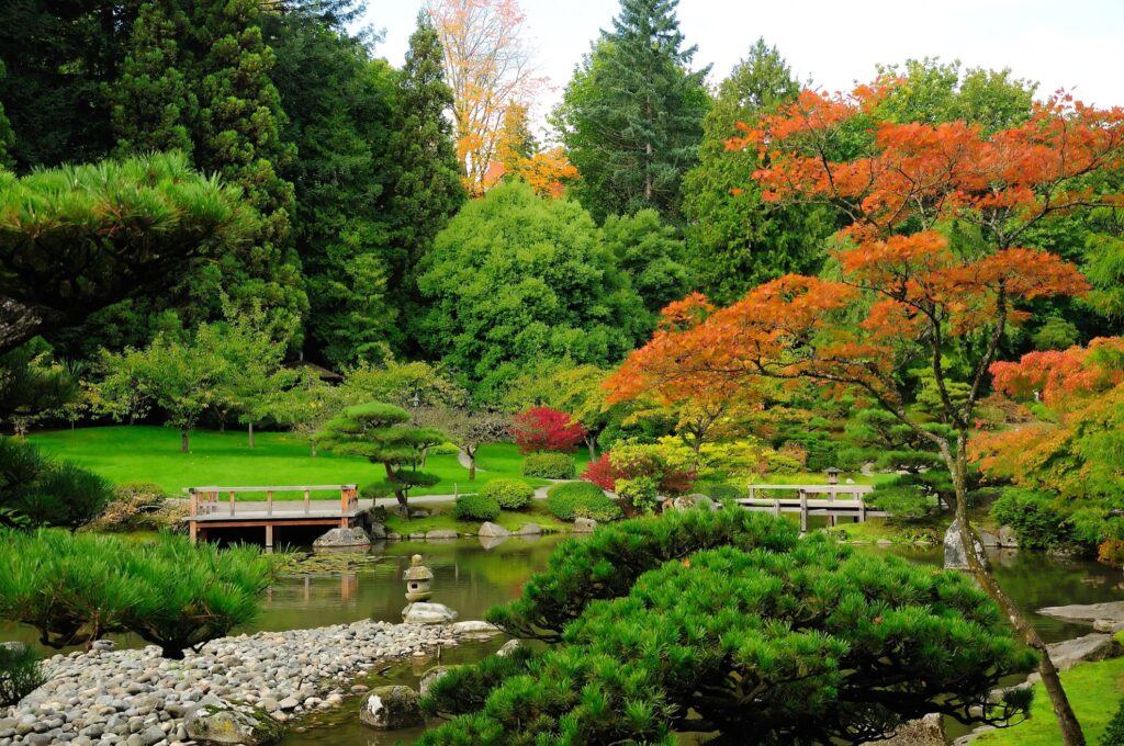 The Washington Park Arboretum in Seattle, Washington