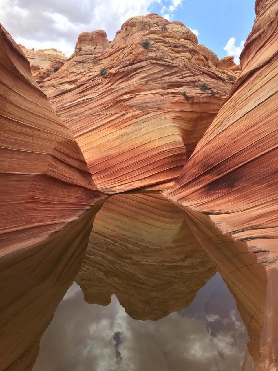 Learn about the trail, permits, and gear in this detailed guide to hiking the Wave in Arizona