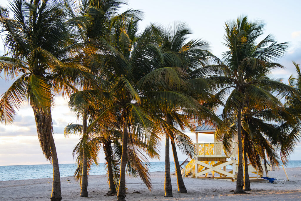 Lifeguard stand at Crandon Park