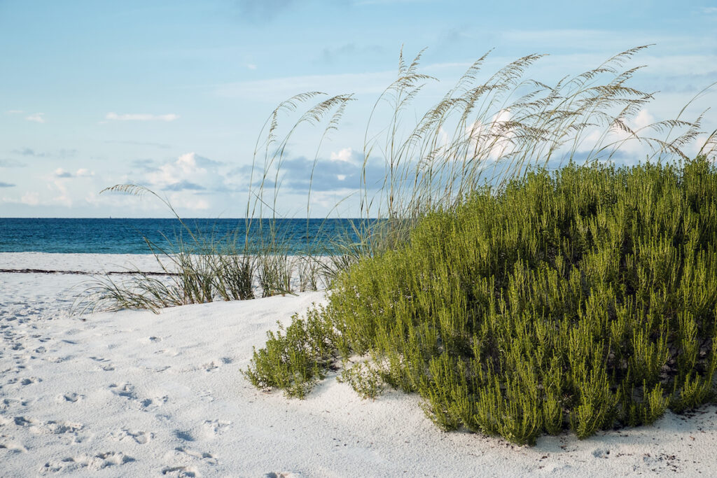 Gulf Islands National Seashore