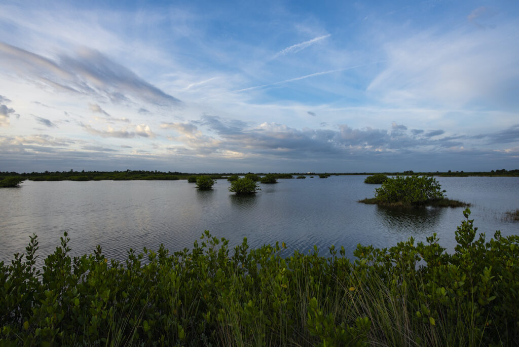 Merritt Island National Wildlife Refuge in Florida.