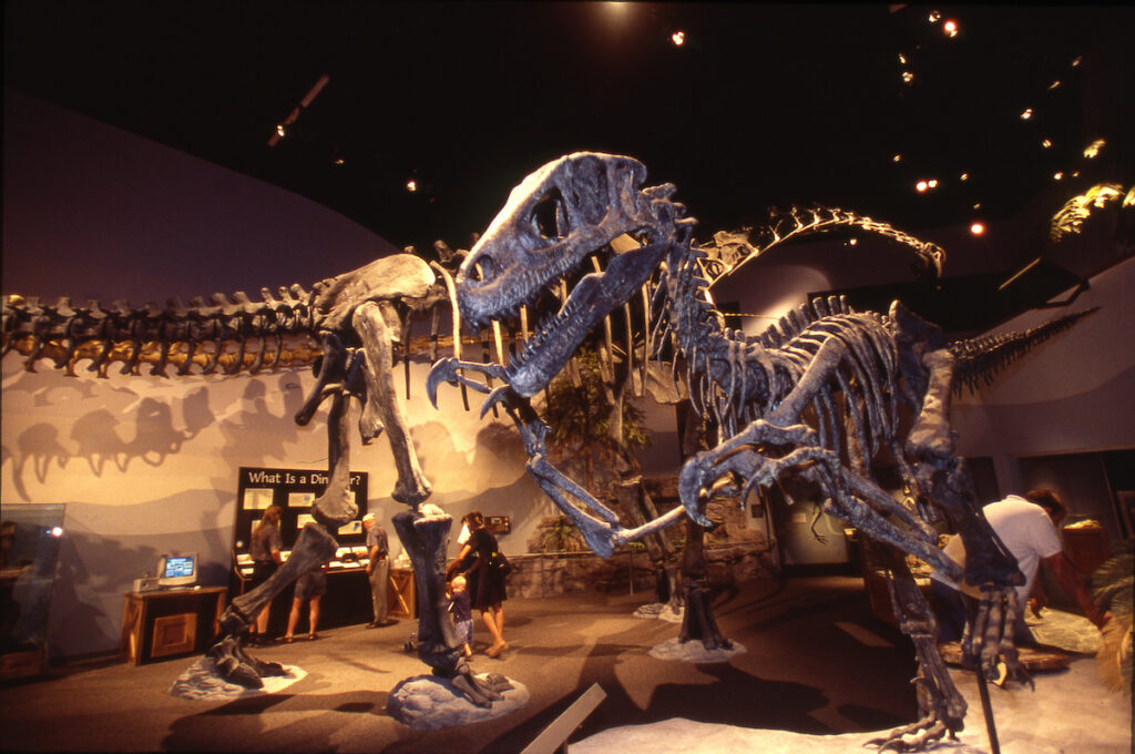 Mountain Museum of Ancient Life in Lehi, Utah