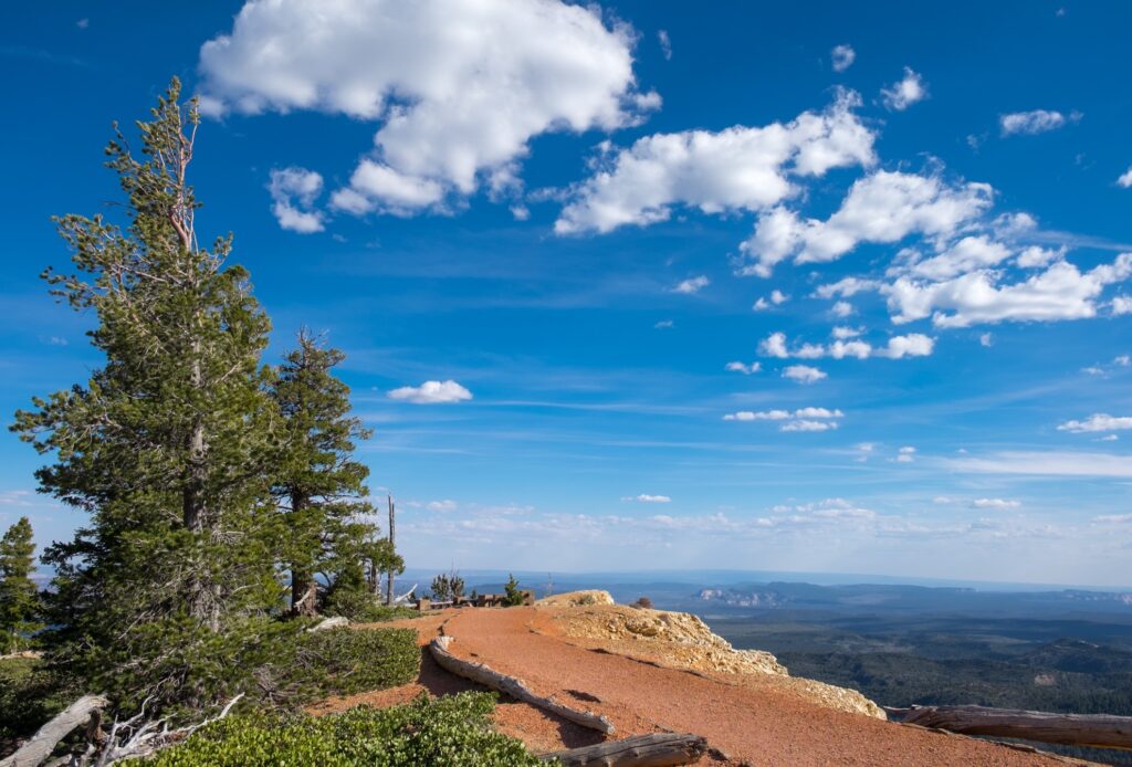 The Bristlecone Loop Trail at Bryce Canyon.