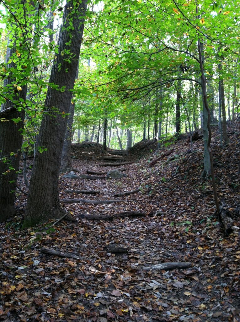 The Matildaville Trail in Great Falls Park.