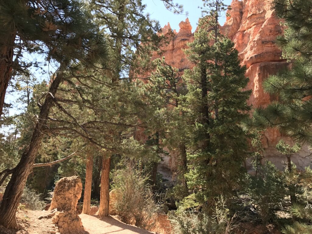 The Navajo Loop and Queens Garden Combination Trail.