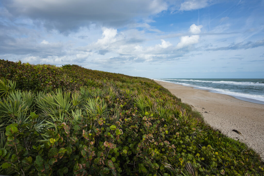 Uncrowded beaches along Florida's Space Coast.