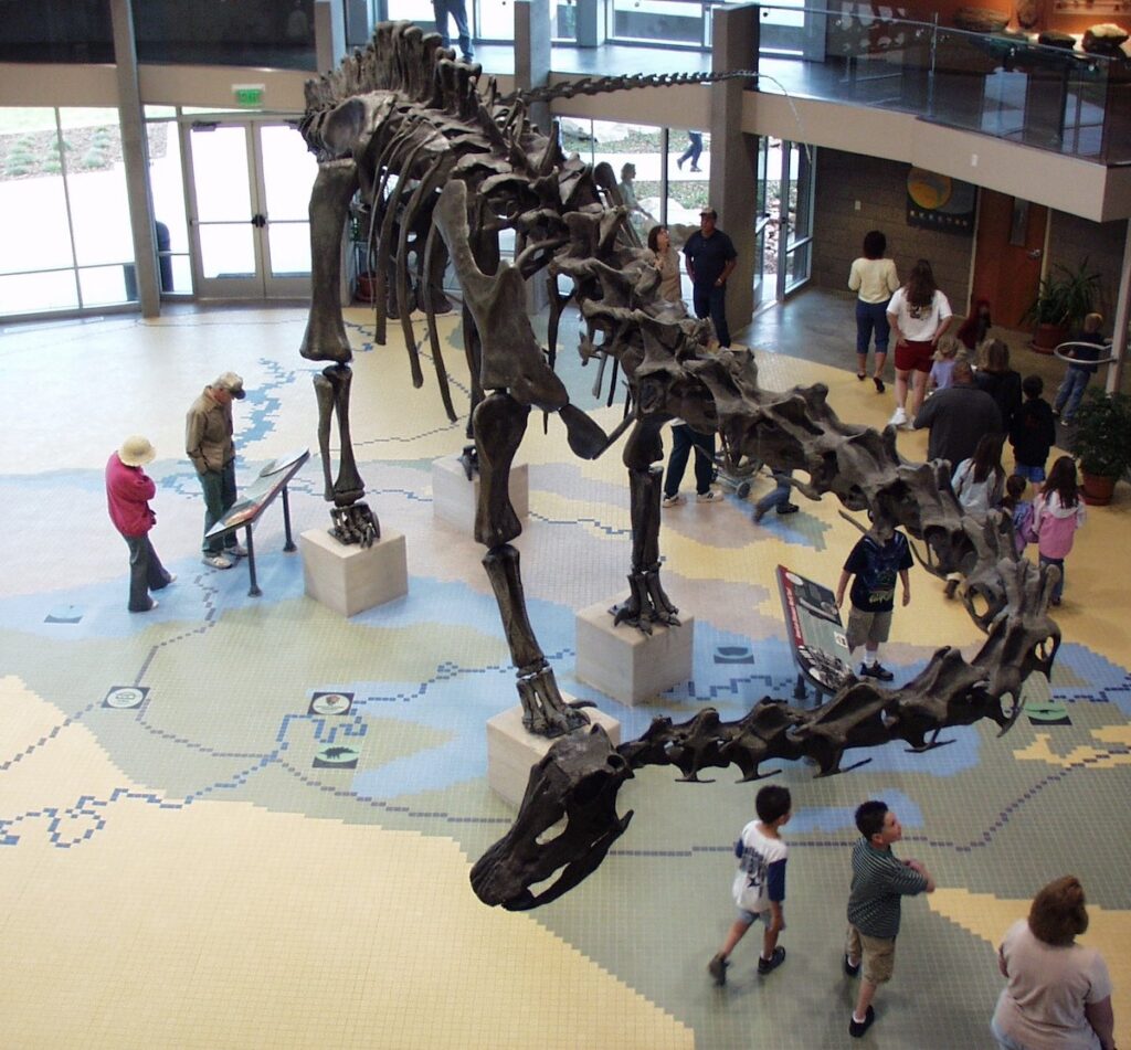Inside Utah Field House and Natural History State Park Museum