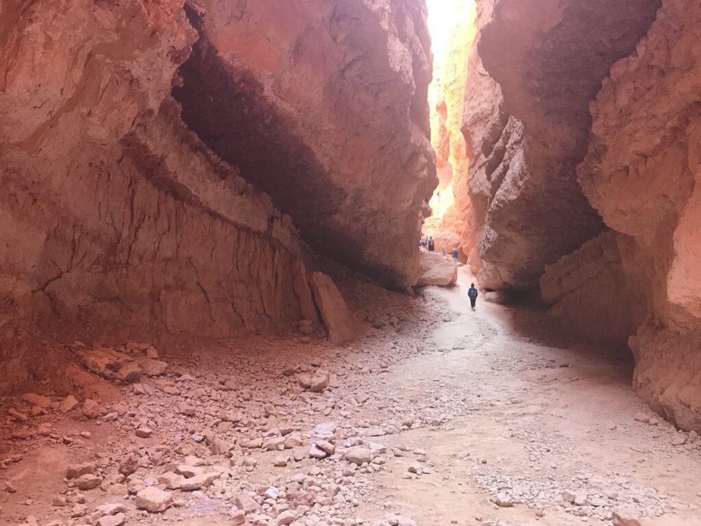 Wall Street on the Navajo Loop Trail.